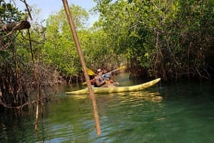 Zihuatanejo: Excursión en Kayak