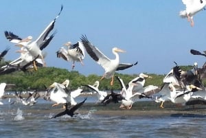 Zihuatanejo: Excursión en Kayak