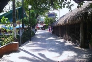 Zihuatanejo: Las Gatas Beach Tour