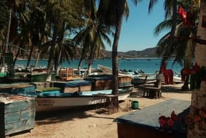 Zihuatanejo: Las Gatas Beach Tour