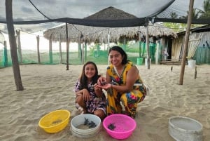 Zihuatanejo: Turtle Release Experience at Playa Blanca