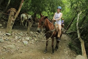 Tirolina y Paseo en Mula + Puente Colgante -Puerto Vallarta