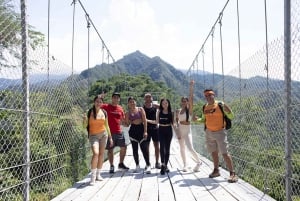 Tirolina y Paseo en Mula + Puente Colgante -Puerto Vallarta