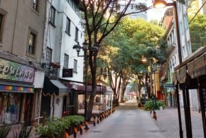 Vida nocturna en la Zona Rosa de la Ciudad de México: Tour de Tacos y Bares LGBT