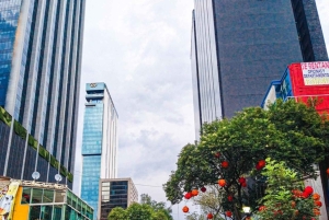 Zona Rosa Mexico City Nightlife: Tacos and LGBT Bar Tour