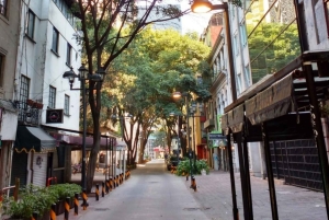 Zona Rosa Mexico City Nightlife: Tacos and LGBT Bar Tour