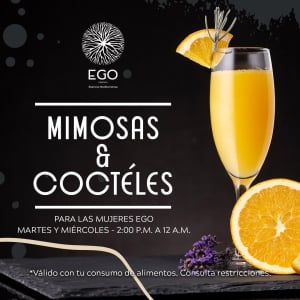 Free cocktails for ladies by EGO
