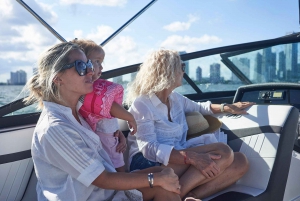 1 heure de tour en bateau privé à Miami avec champagne et capitaine