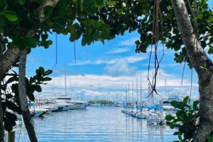 1 hour Miami Private Boat Ride with champagne and captain