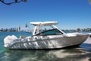 #1 Private Bootstour und 1 Stunde kostenloser Jet Ski Verleih in Miami