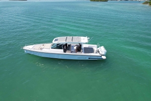 #1 Private Boat Tour and 1 Hour Free Jet Ski Rental in Miami