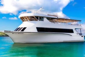 100ft 200 passenger 3 story mega yacht w open bar at Bayside