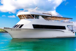 mega yacht di 200 piedi e 3 piani con open bar a Bayside