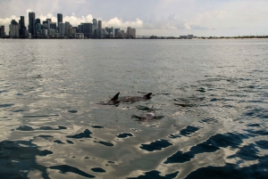 2 PÄIVÄN purjehdus Miamista North Key Largoon ja takaisin