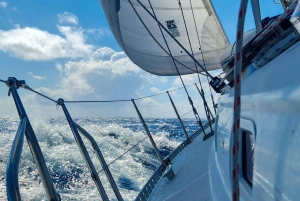 Navegación de 2 DÍAS de Miami a Cayo Largo Norte y vuelta