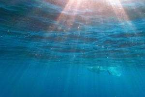 Navegación de 2 DÍAS de Miami a Cayo Largo Norte y vuelta