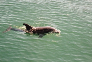 Navegación de 2 DÍAS de Miami a Cayo Largo Norte y vuelta