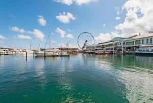 3-Day Florida Getaway: Miami, Everglades & Key West Snorkel