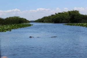 3-Day Florida Getaway: Miami, Everglades & Key West Snorkel