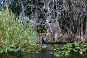 3-Day Florida Getaway: Miami, Everglades & Key West Snorkel