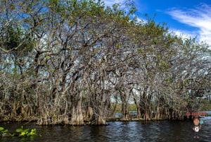 3-Day Florida Getaway: Miami, Everglades & Key West Snorkel