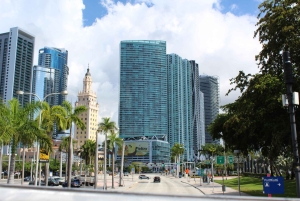 3-daags uitje naar Florida: Miami, Everglades en snorkelen in Key West