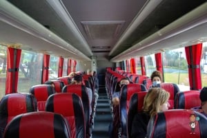 3-daags uitje naar Florida: Miami, Everglades en snorkelen in Key West