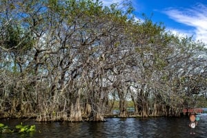 3-daags uitje naar Florida: Miami, Everglades en snorkelen in Key West