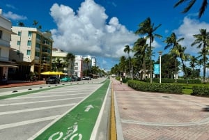 4 Hour Miami City Tour