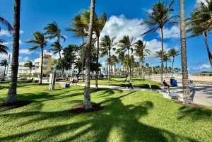 4 Hour Miami City Tour