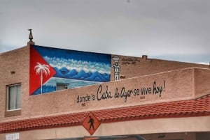 4 Hour Private Miami City Tour