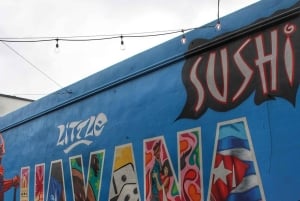 4 Hour Private Miami City Tour