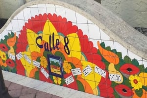 4 Hour Private Miami City Tour