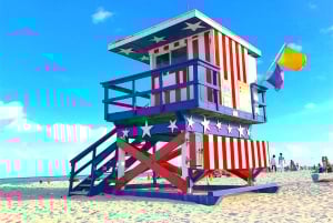 4 Hour Private Miami City Tour