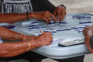 4 Hour Private Miami City Tour