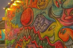 4 Hour Private Miami City Tour