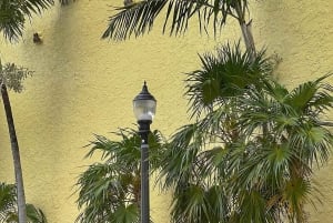 4 Hour Private Miami City Tour