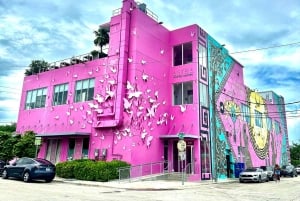 4 Hour Private Miami City Tour