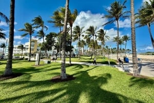 4 Hour Private Miami City Tour