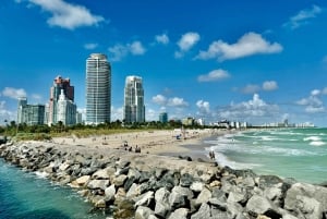 4 Hour Private Miami City Tour