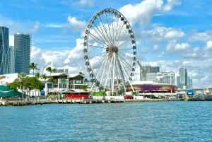 4 Hour Private Miami City Tour