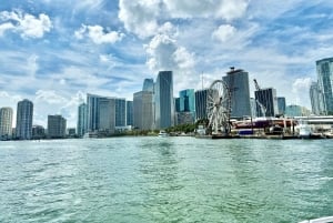 4 Hour Private Miami City Tour