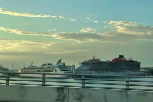 5 heures de visite complète : Centre-ville de Miami, Brickell et Calle 8