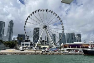 5 uur Complete tour: Downtown Miami, Brickell en Calle 8