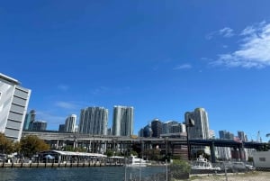 5 hours Complete Tour: Downtown Miami, Brickell, and Calle 8