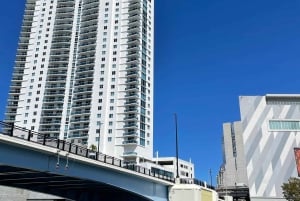 5 hours Complete Tour: Downtown Miami, Brickell, and Calle 8