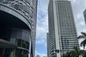 5 hours Complete Tour: Downtown Miami, Brickell, and Calle 8