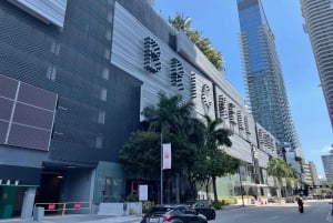 5 uur Complete tour: Downtown Miami, Brickell en Calle 8