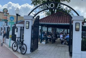 5 heures de visite complète : Centre-ville de Miami, Brickell et Calle 8