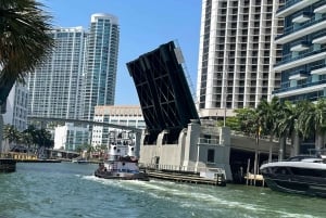 5 heures de visite complète : Centre-ville de Miami, Brickell et Calle 8